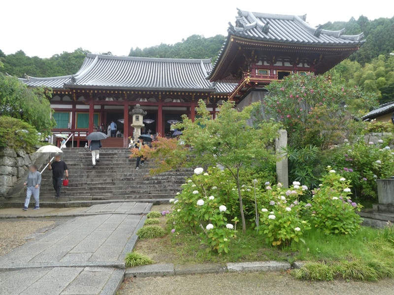 矢田寺・本堂