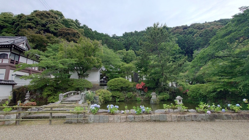 矢田寺のあじさい（2）