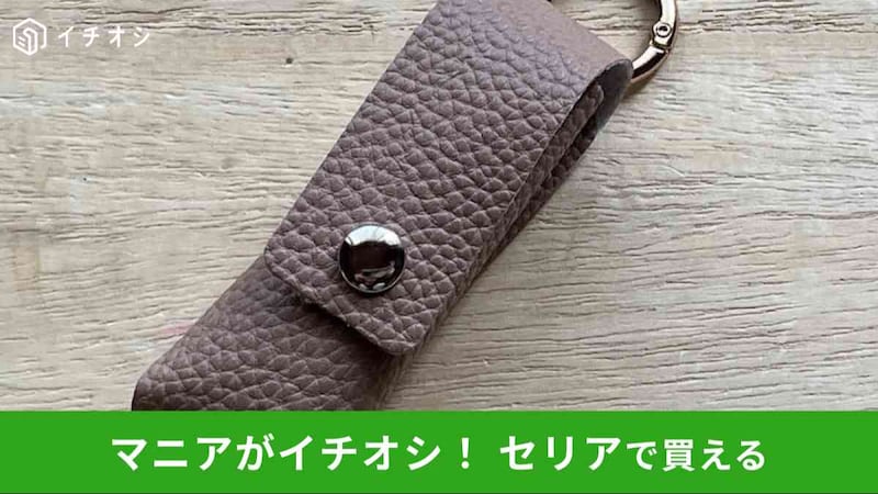 セリアの「カラビナ付きリップケース」