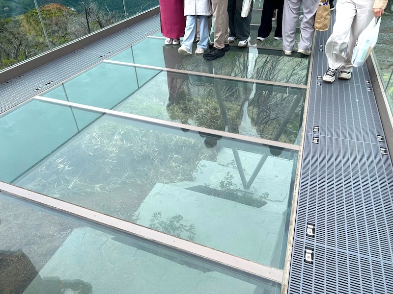 床の中央とフェンスはガラス張り