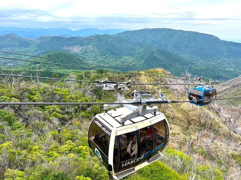 「大地のほとり」から見下ろす、箱根ロープウェイ