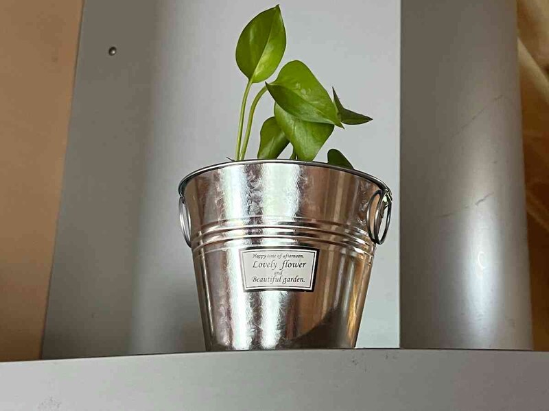 セリアの「両手付きブリキバケツL」