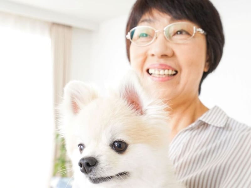 親の扶養は健康保険でも関係あり！知っておきたい条件と注意点　（画像出典：amanaimages）