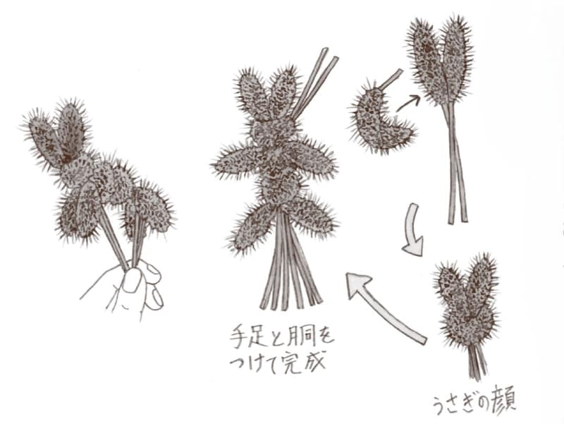 ふわふわしてかわいらしいえのころぐさ(猫じゃらし)のうさぎ