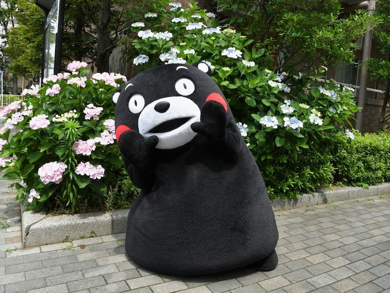 あじさいよりかわいいボク＝6月13日、東京都文京区