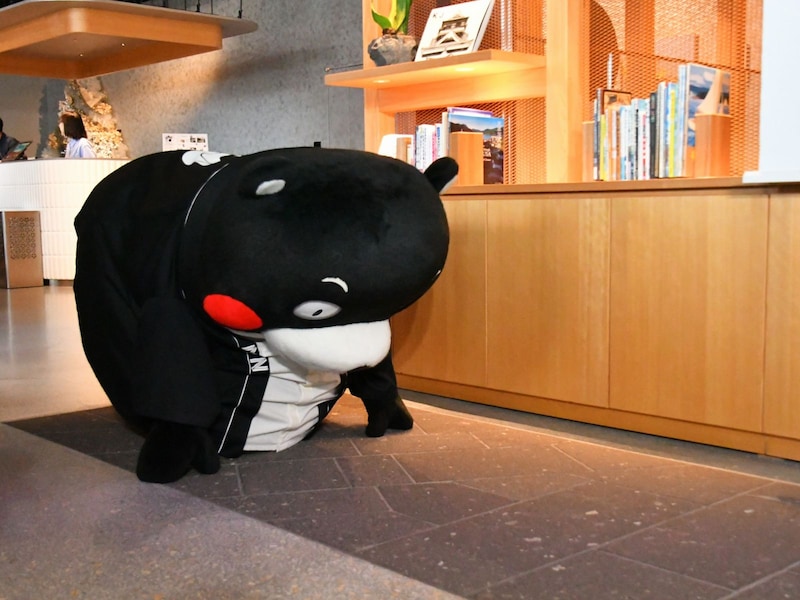 位置について～＝6月27日、熊本市