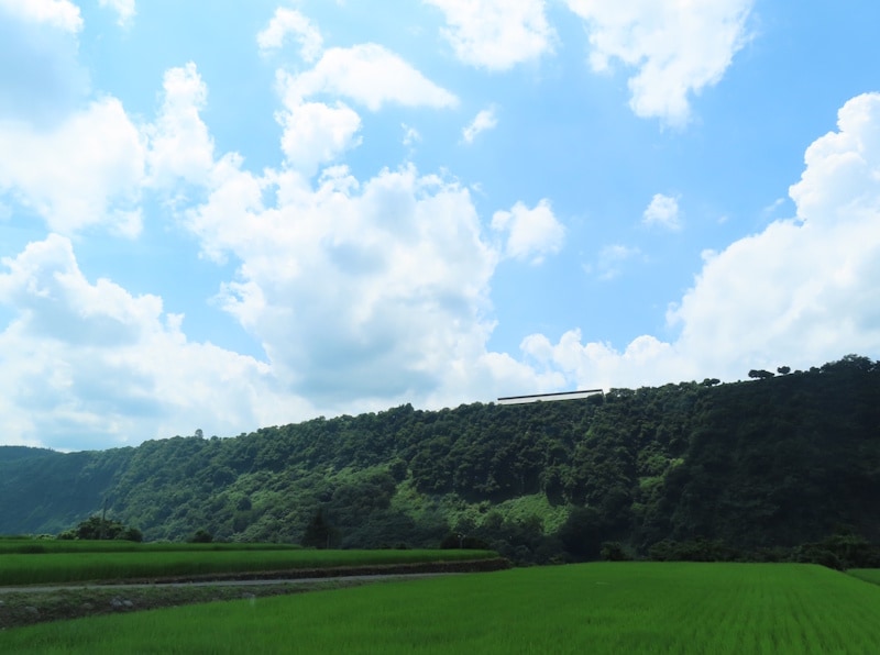 津南町内の河岸段丘