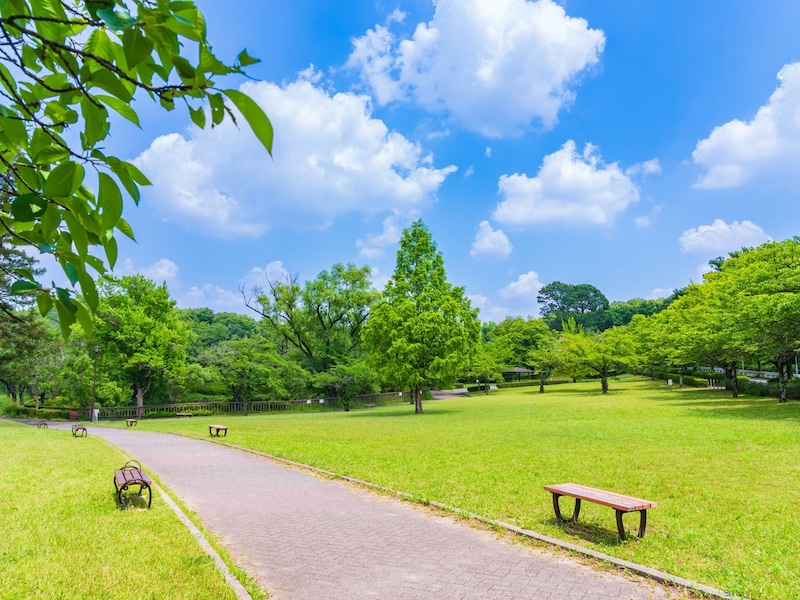 豊かな自然が広がる平和公園（名古屋市千種区） ※画像：PIXTA