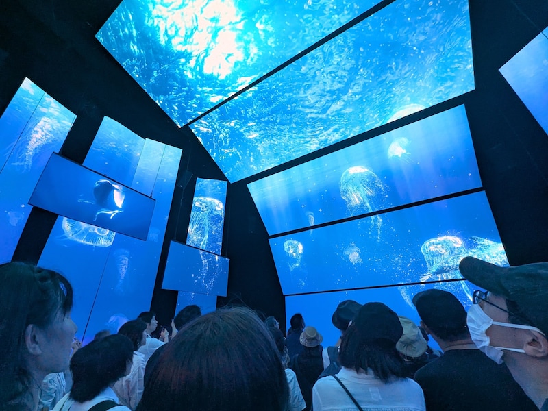 海外パビリオン