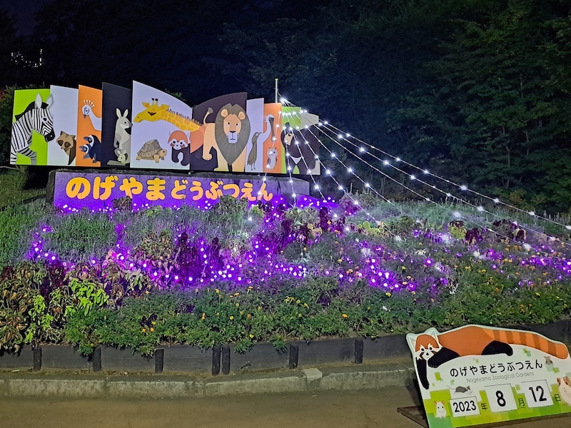 入口花壇にはイルミネーションが点灯。画像は過去の様子（提供画像）