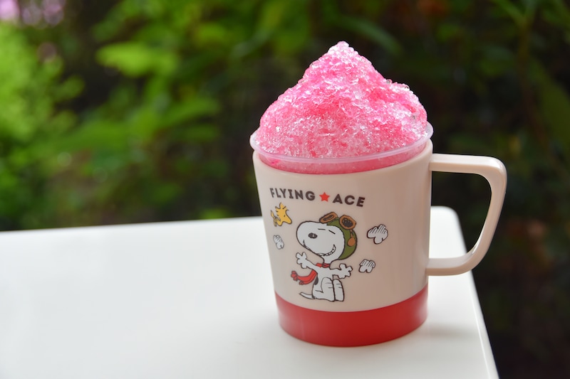 ユニバーサル・スタジオ・ジャパン