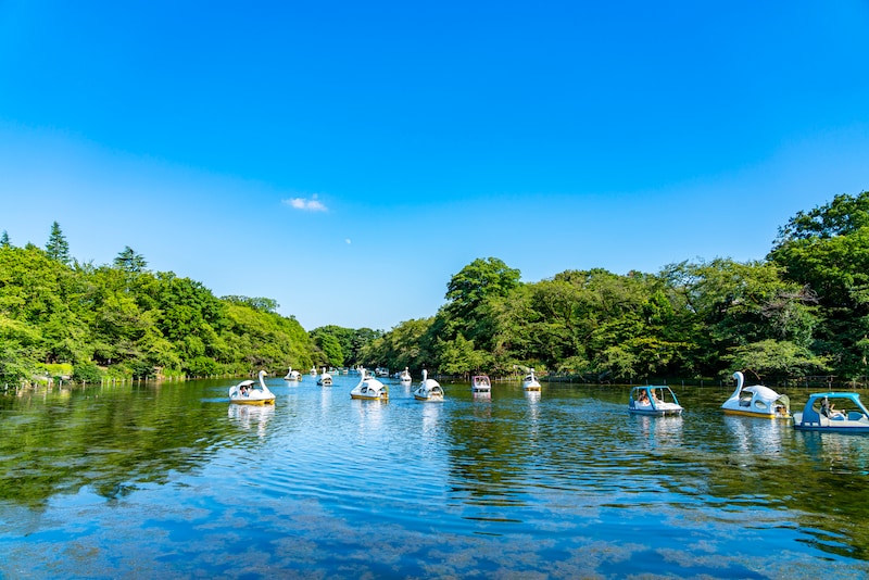 吉祥寺 井の頭恩賜公園の画像