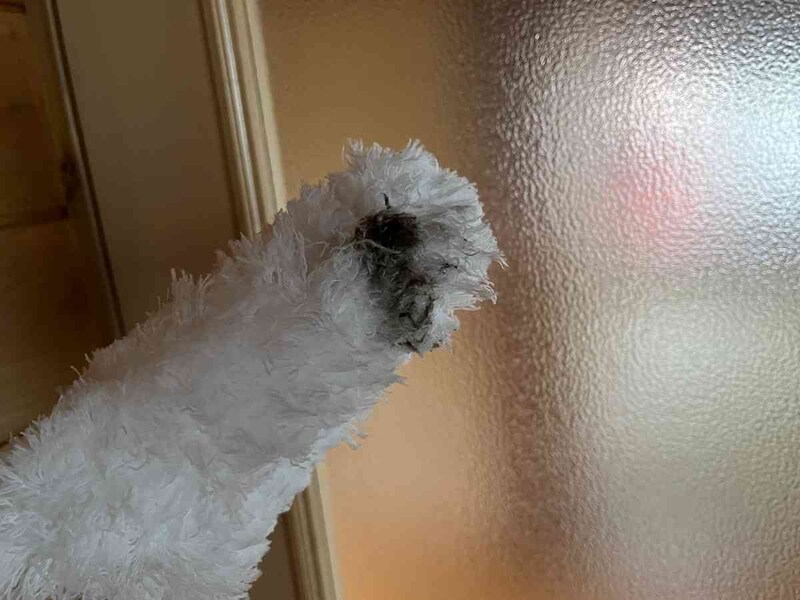 ホコリがしっかりと取れている