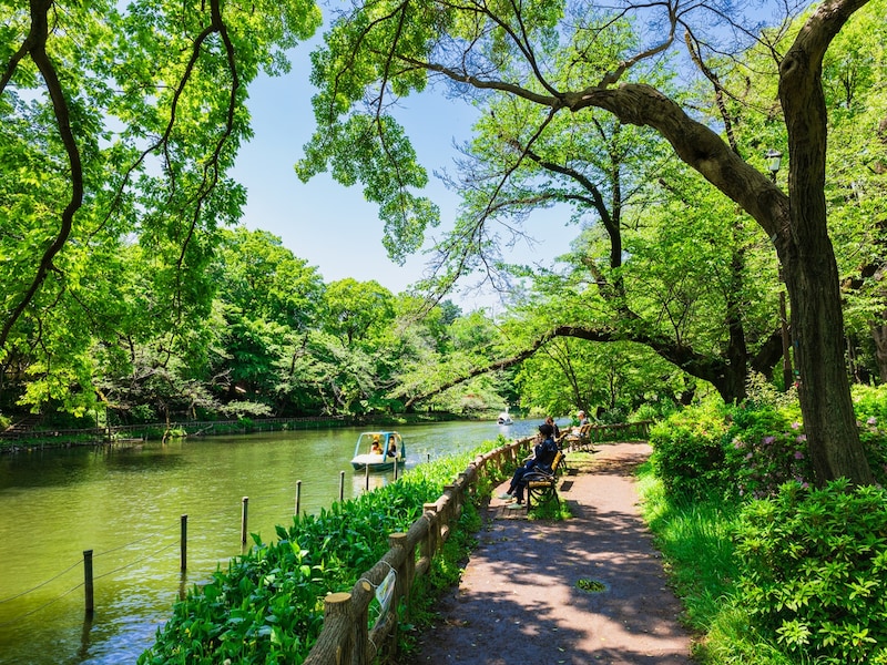 吉祥寺 井の頭公園の画像