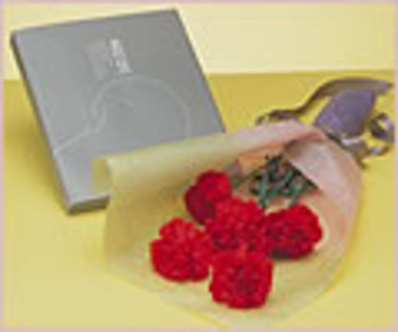 玉木屋「江戸惣菜のセット」 母の日お届け分