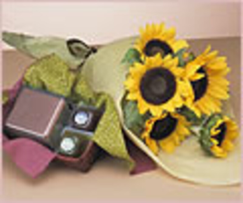 銀座文明堂「ふたりの和菓子のセット」 父の日お届け分