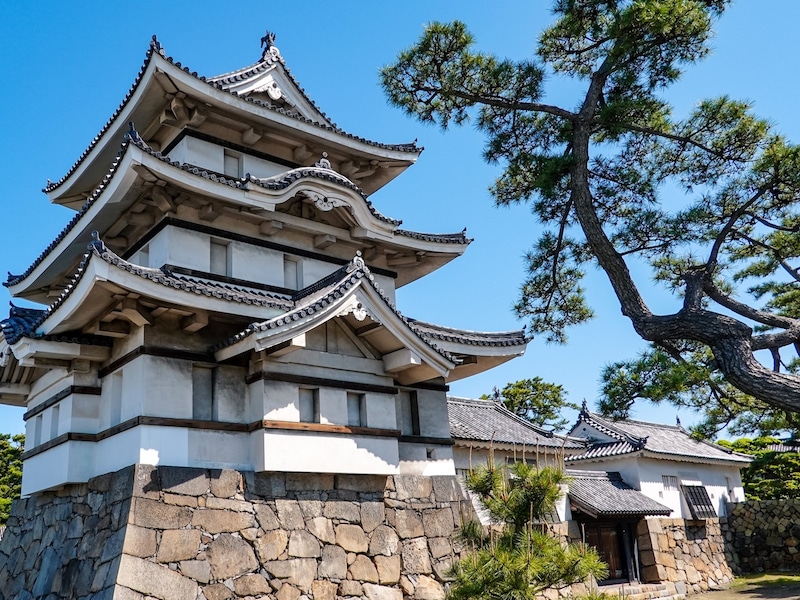 日本三大水城の1つの高松城 ※画像：PIXTA
