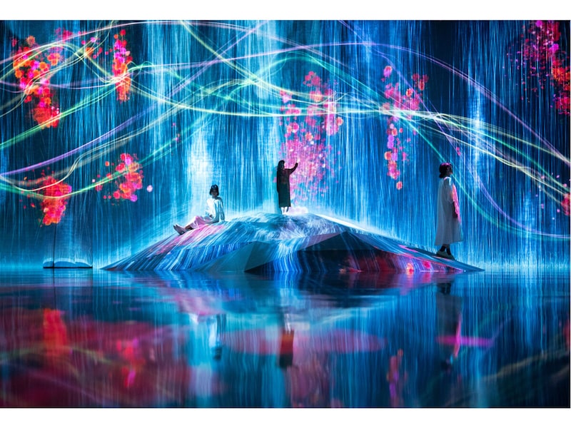 teamlab_1