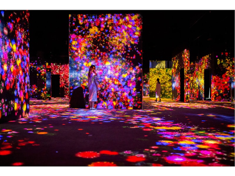 teamlab_2
