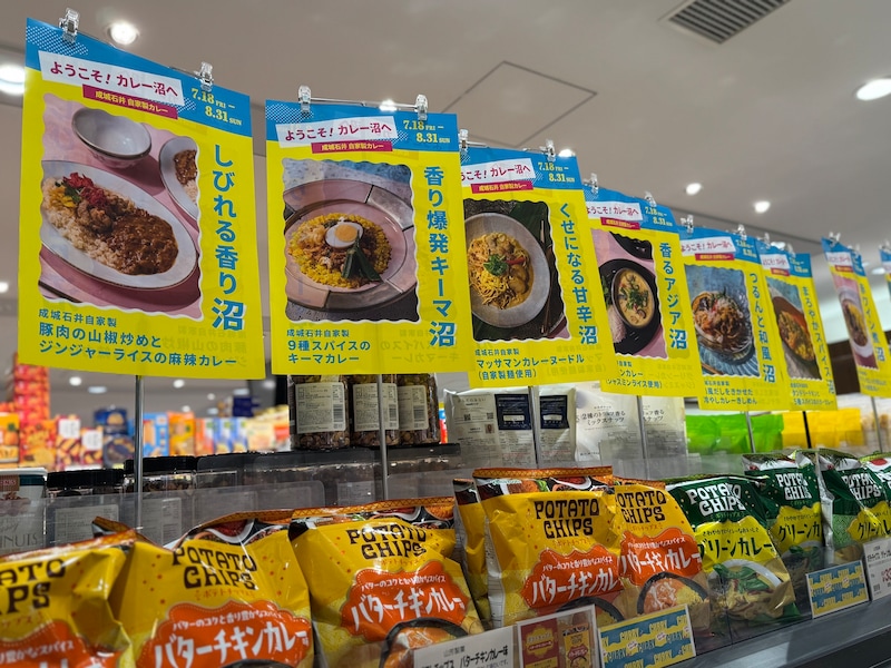成城石井の「ようこそ！カレー沼へ」