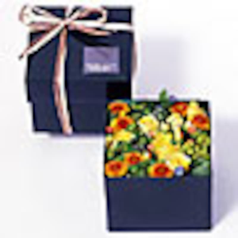 ニコライ・バーグマン　ボックスアレンジメント