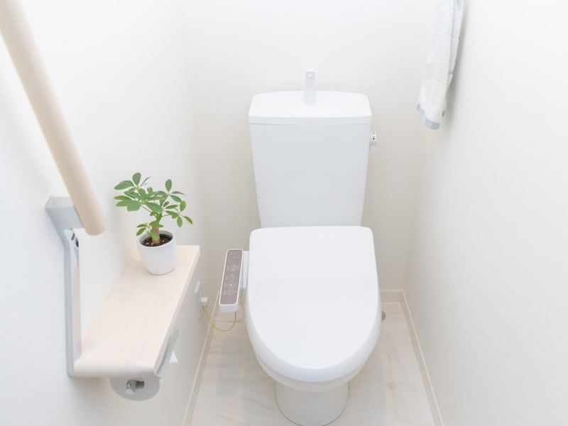 トイレの植物