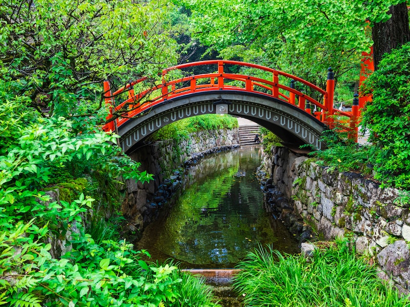  京都　下鴨神社　みたらし川の画像