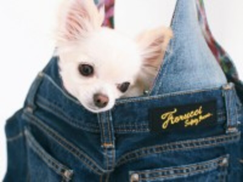 ドッグキャリーバッグ