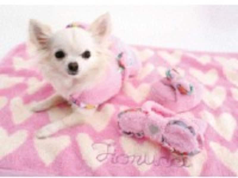 ペットマットと犬