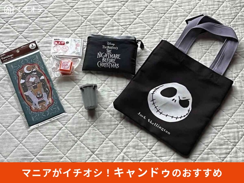 キャンドゥの2025年秋から使いたい「新商品」特集