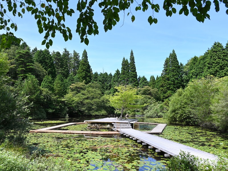 rokko_2