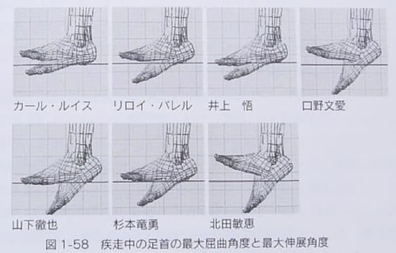 『スポーツ選手なら知っておきたい「からだ」のこと』(小田伸午、2005、大修館書店)より