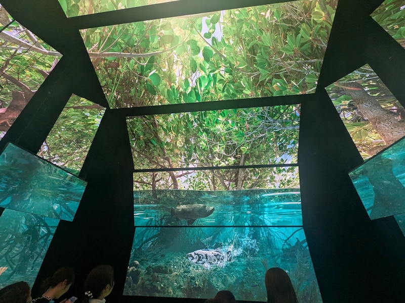 オーストラリア