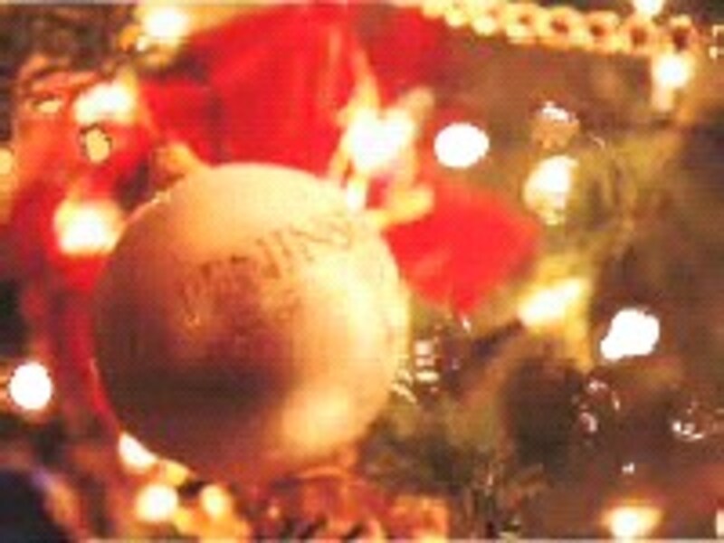  Trees of Hope希望の木