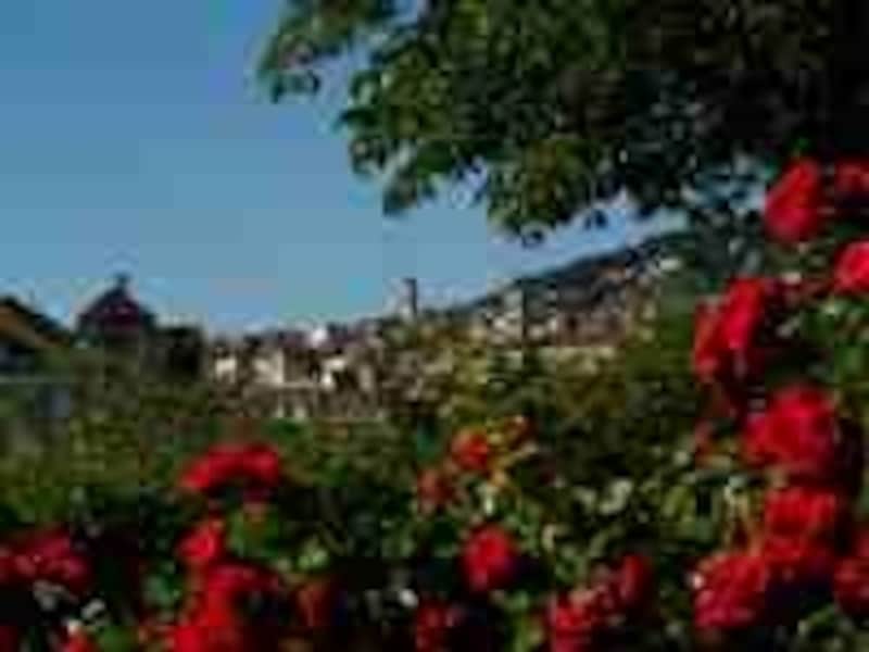 中世が今に息づくベルンの旧市街