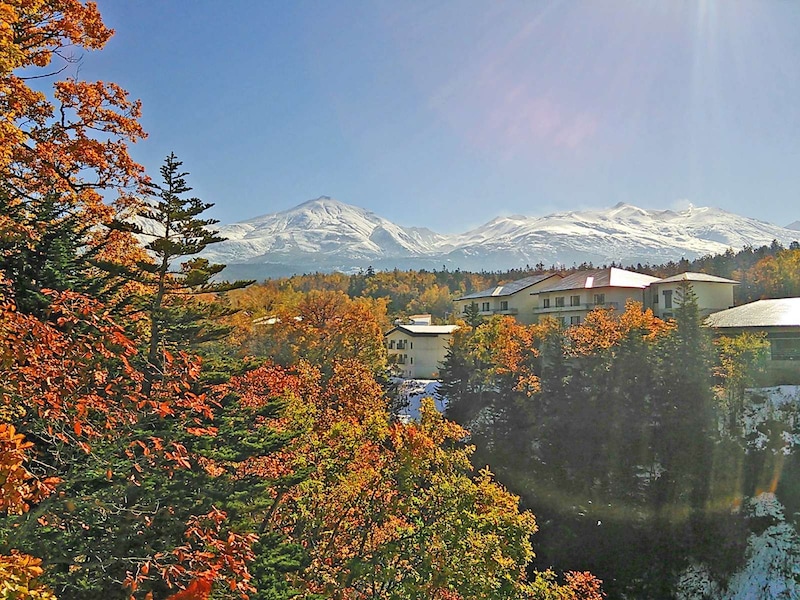 青い空、白雪、紅葉の三重奏は唯一無二の絶景（北海道）※撮影：大谷修一