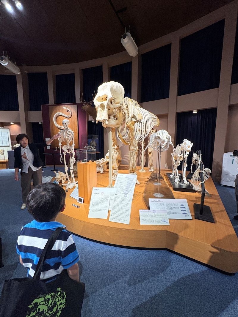 麻布大学いのちの博物館