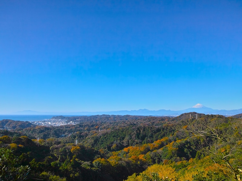 鎌倉アルプスハイキングコースの天園からの風景の画像
