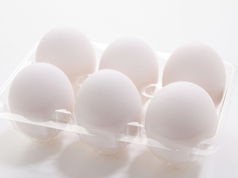 卵の冷凍