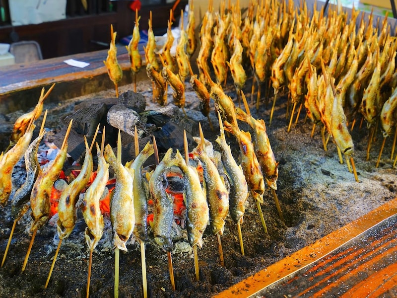 60代女性_シニア旅行_日光