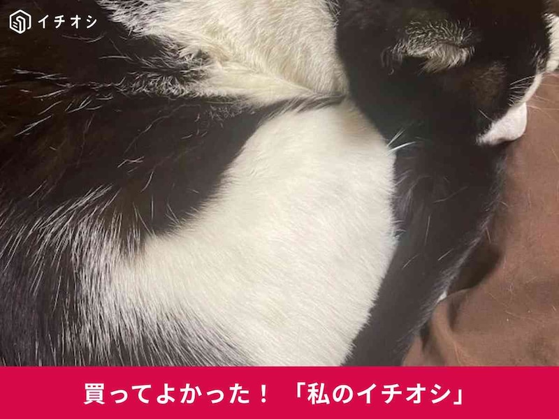 ڥƥΡ֥ץ饯ȸˤܤפϷ򹯤θ줿񻺤