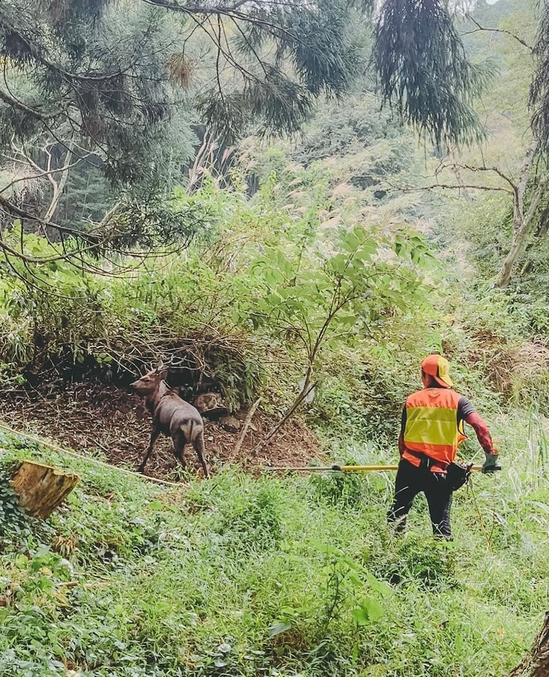 命をいただくを実感する狩猟体験ツアー。有害駆除として通年実施しており、冬はスノーシューで雪の中を歩く特別な体験ができることも(写真提供:スミノヤゲストハウス)