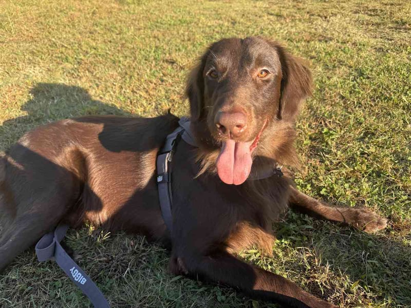 եåȥƥåɡȥ꡼СΥ