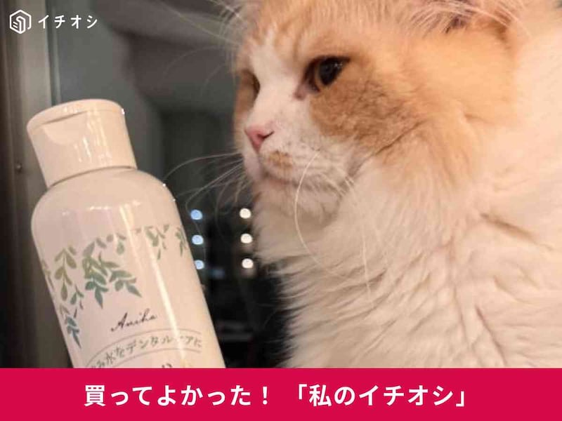 ˥ϤΡָǭѱΥϥߥפϻ᤭ʤͤ󡦤ˤ