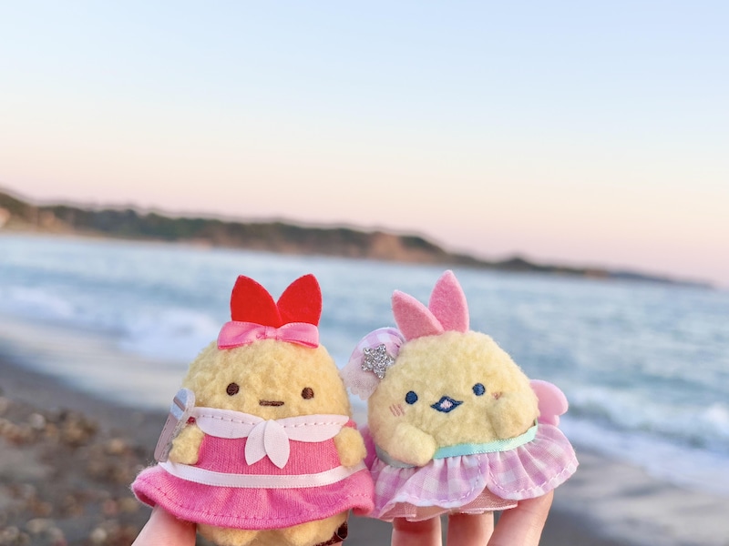 すみっコぐらしのキャラクター「えびふらいのしっぽ」がイチオシ!