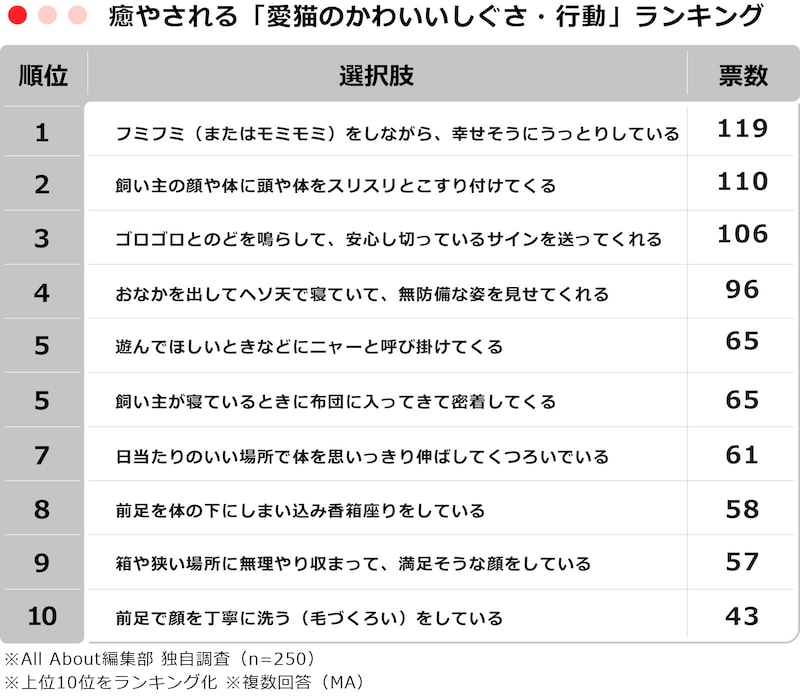 【TOP10】癒やされる「愛猫のかわいいしぐさ・行動」ランキング