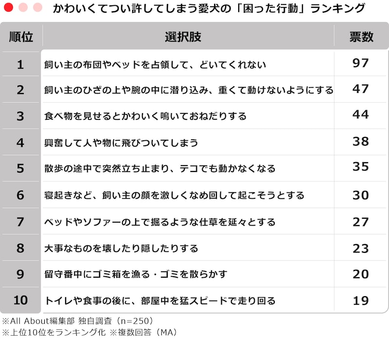 【TOP10】かわいくてつい許してしまう愛犬の「困った行動」ランキング