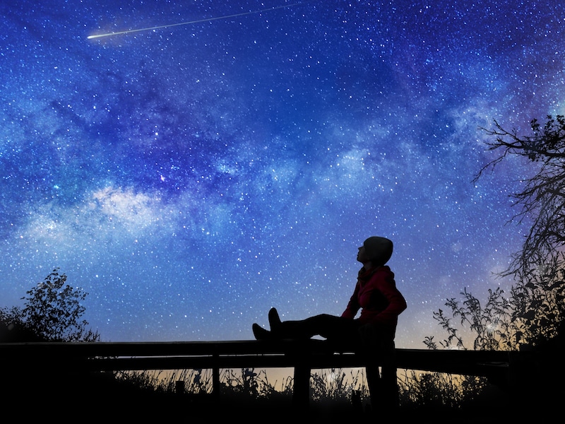 12星座別に「2025年のやり残し」との向き合い方について解説します ※画像：Shutterstock.com