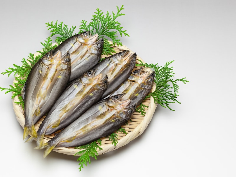 40代女性　ふるさと納税　鮎