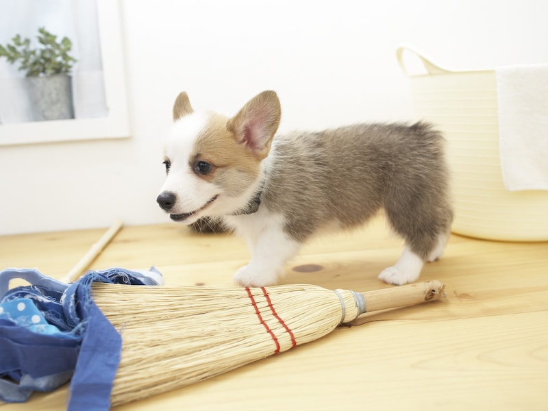 50代から始める年末の大掃除で金運アップ!2026年に向けて特にやりたいことは?※画像:amanaimages